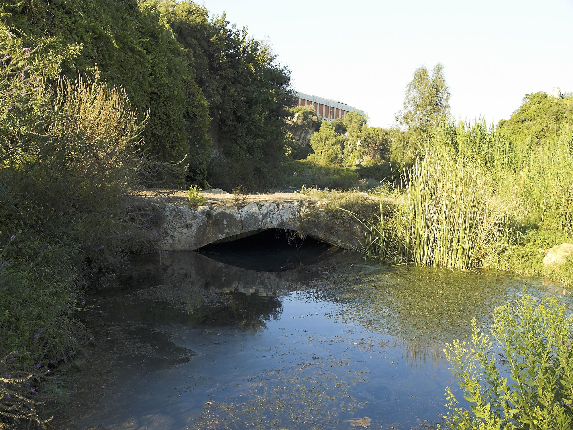 Pont d'Arapsu